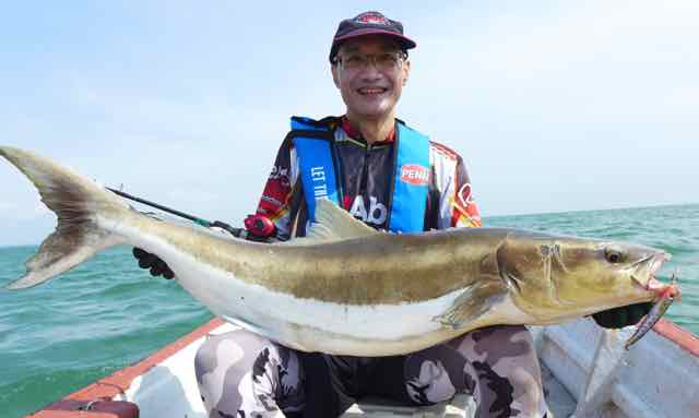 Monter Cobia catch in Malaysia Revo Beast Rocket catches monster cobia in Malaysia