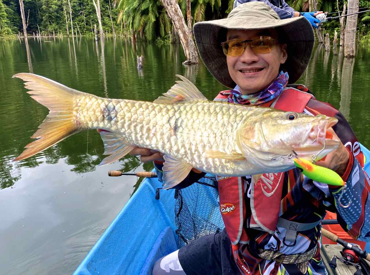 Two-barred Sebarau Hampala barb on Halco Sorcerer 90 Two-barred Sebarau Hampala barb on Halco Sorcerer 90