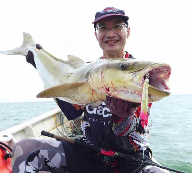 Big Cobia in Malaysia caught with Halco lure