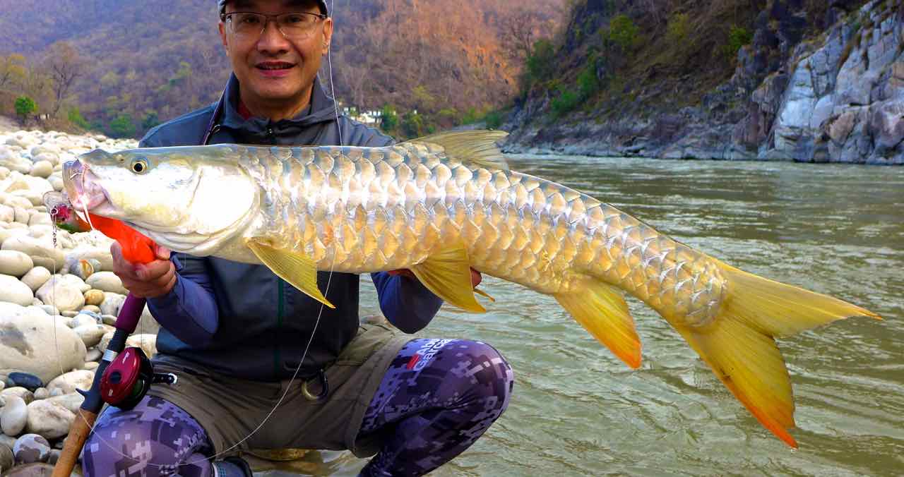 Revo Toro Rocket Golden Mahseer, Mahakali River, India