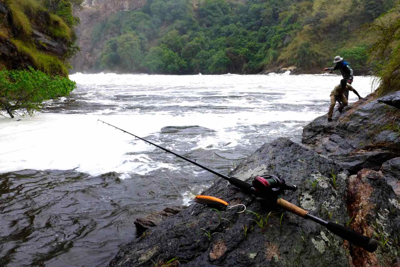 Revo Toro Rocket, Halco Laser Pro 190, Murchison Falls, Uganda