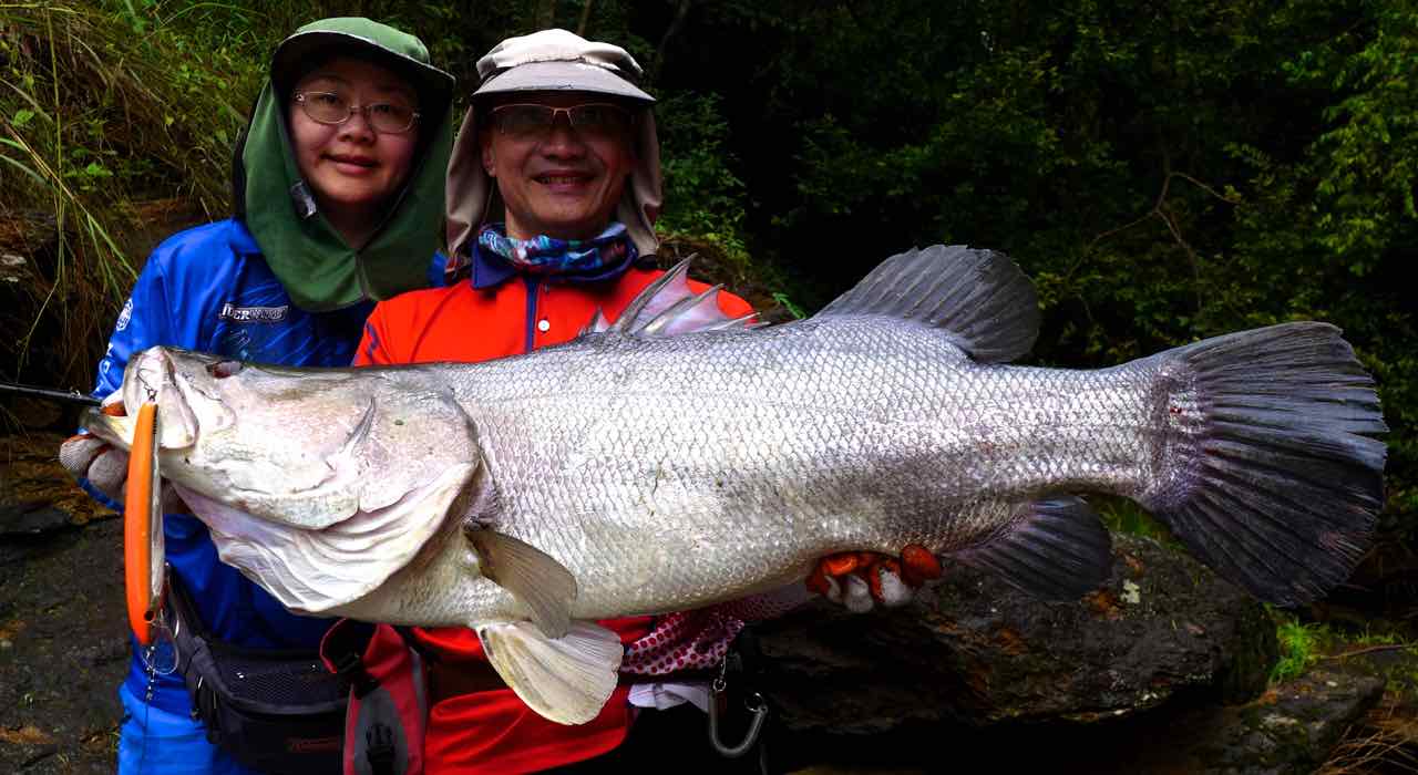 Nile Perch on a Halco Laser Pro 190