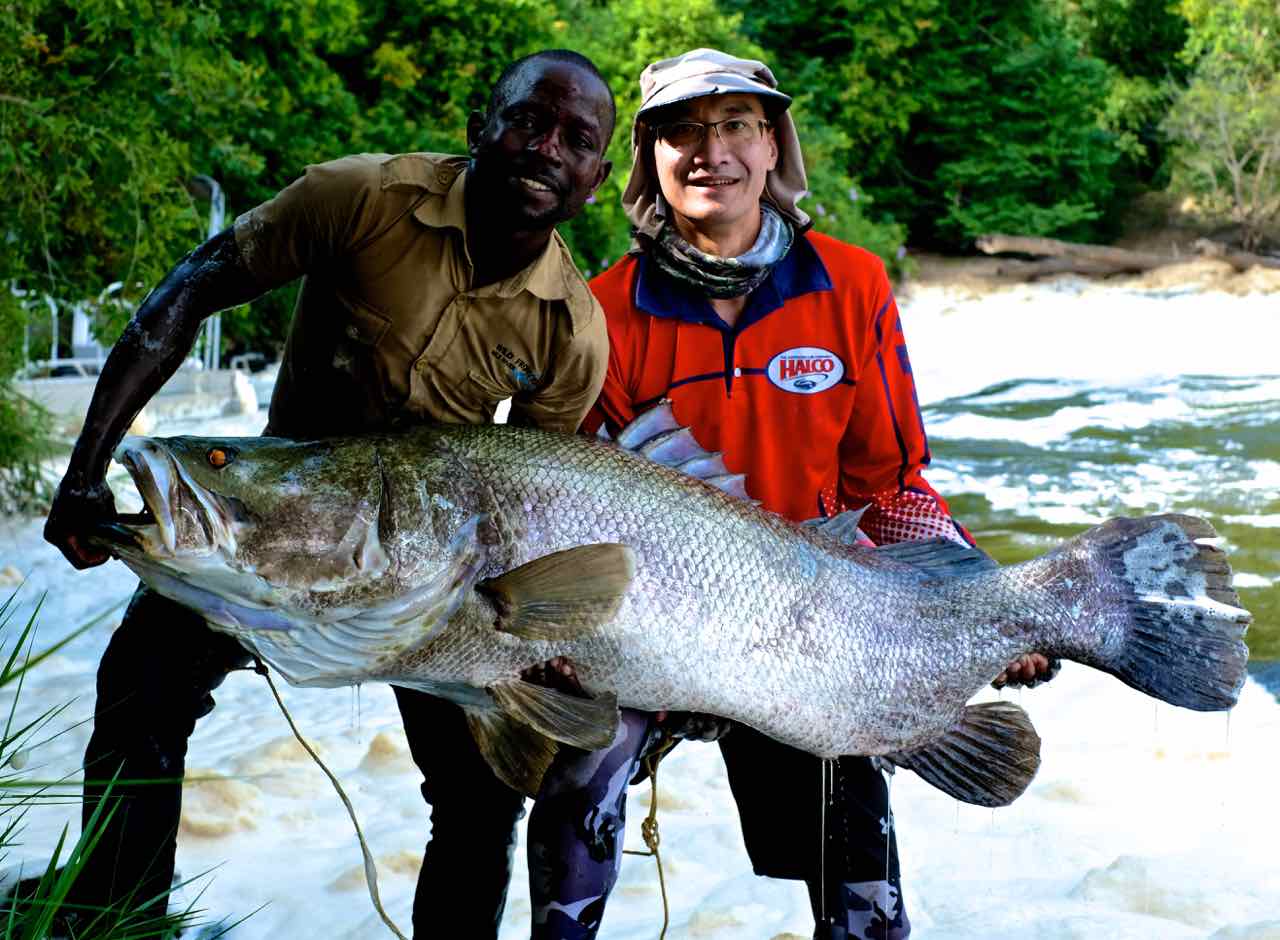 Nile Perch on a Halco Laser Pro 190