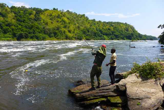 Nile Perch livebait fishing using a balloon float at Murchison Falls, Uganda, Africa