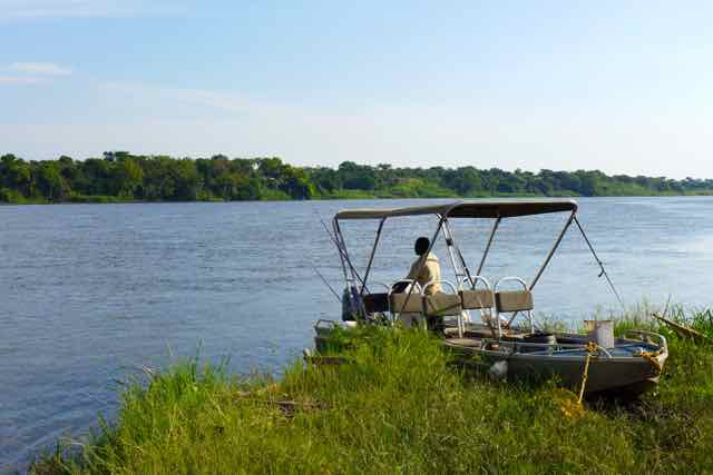 Livebait for Nile Perch