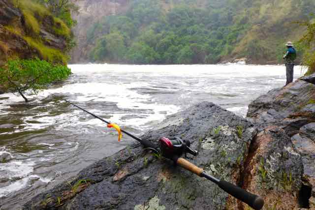 Casting Berkley Shads for Nile Perch