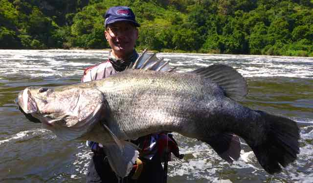 Murchison Falls, Uganda, Africa