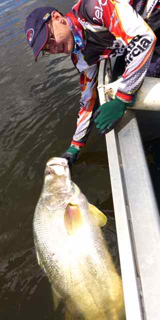 Murchison Falls Nile Perch