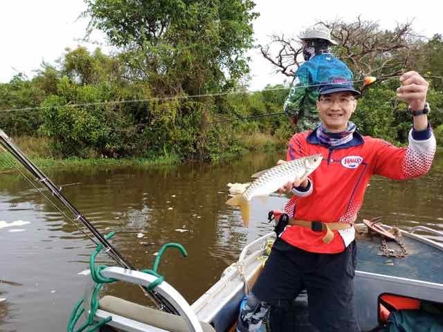 Livebait, Awaka for Nile Perch at Murchison Falls