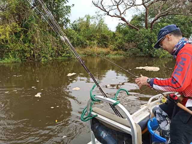 Livebait, Awaka for Nile Perch at Murchison Falls