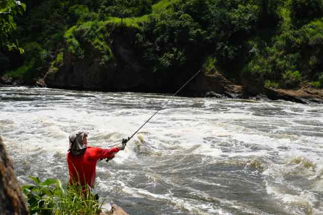 Lure for Nile Perch at Murchison Falls, Uganda, Africa, catching Nile Perch on crankbait minnow