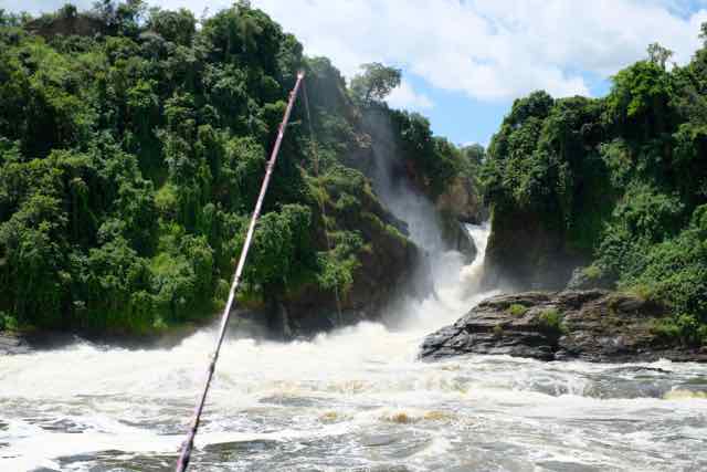 Lure for Nile Perch at Murchison Falls, Uganda, Africa, catching Nile Perch on crankbait minnow