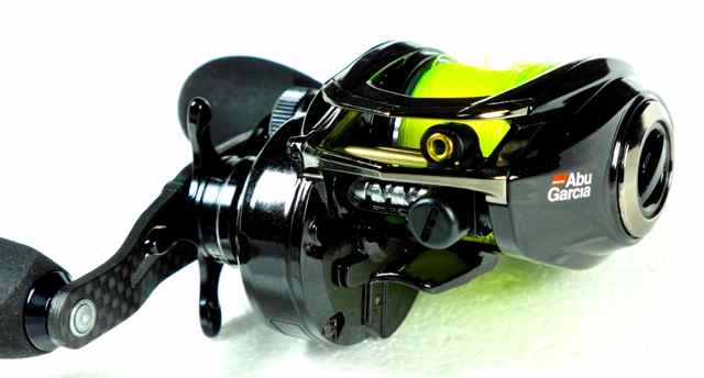 Toman, Channa micropeltes, Giant Snakehead